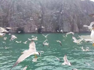 長島歡樂行漁家