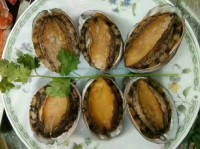 長島孟姐漁家樂